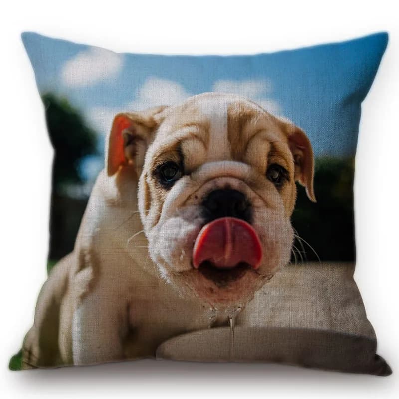 Federa per cuscino stile Funky Pet Dog Simpatico Bulldog Golden Retriever Modello Fodera per cuscino decorativa per divano per auto in cotone e lino