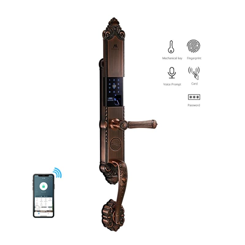 Soluzione one-stop Serratura porta anteriore Impronta digitale intelligente Controllo Wi-Fi a lunga distanza Serratura intelligente
