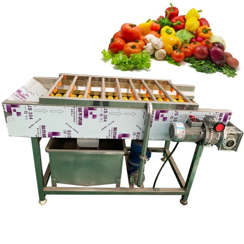 Macchina per il lavaggio e la pulizia di datteri secchi, verdure e frutta essiccata