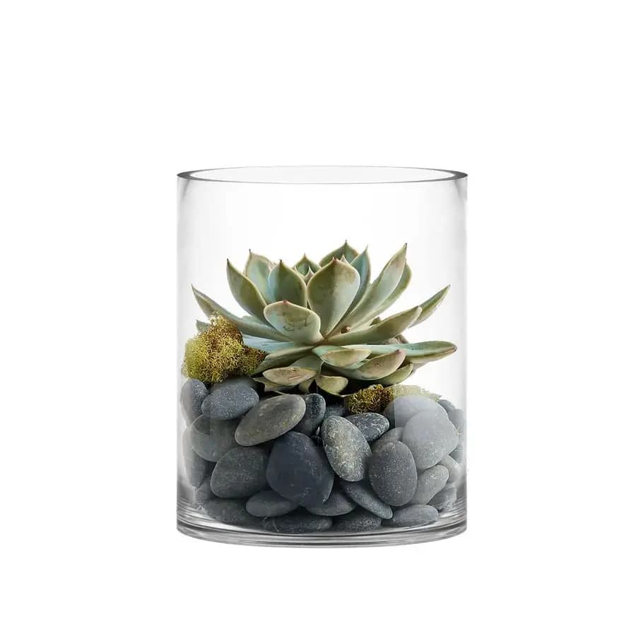 Vaso Cilindrico Grande in Vetro Trasparente H12 D10, Centrotavola, Portacandele a Colonna, Terrario, Fioriera