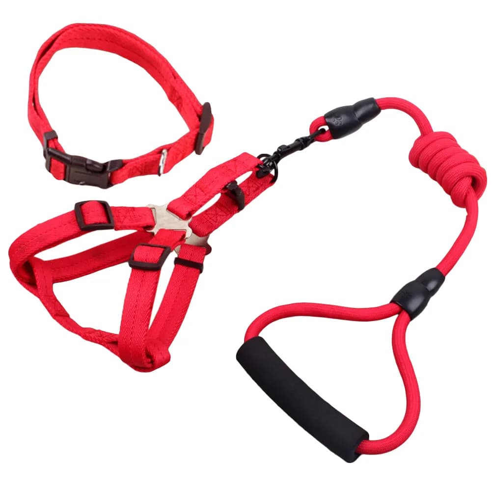 Set of 3 Pieces for Walks and Running with Domestic Animals: Collar, Pettorine and Guinzaglio 6mmx120cm with Ergonomic Handle for Dog Control and Puppies