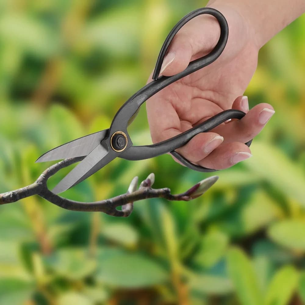 Professional Steel Bonsai Scissors Butterfly Handle Sharp Blades Garden Cutter Black Pruning Shear Indoor Plant