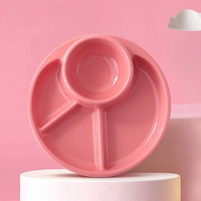 Portion Divided Plate, Bariatric Diet Tool, Compartment Planning for Meal Serving, Snacks, Weight Loss Nutrition Dish