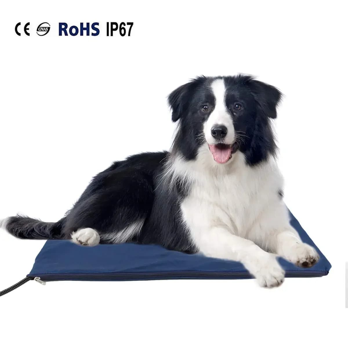 Tappetino riscaldante elettrico regolabile per cani Tappetino riscaldato per animali domestici impermeabile Controllo della temperatura Coperta elettrica Cucciolo invernale