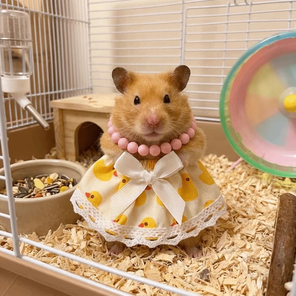 Breathable Hamster Lace Skirt Lightweight Soft Princess Dress Knitted Lace with Necklace Guinea Pig Costume Indoor Outdoor