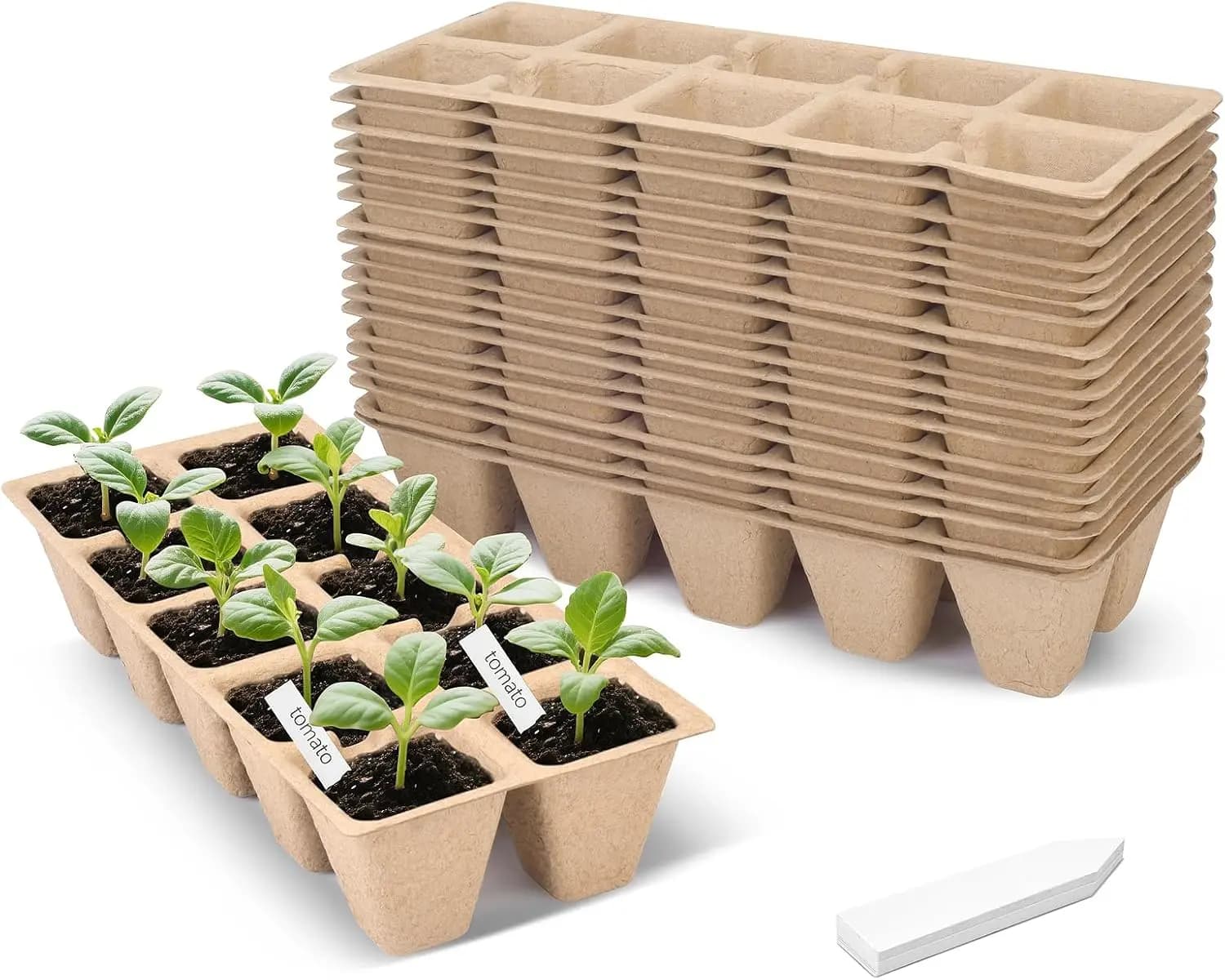 200 Vases in Torba, Trays for Semina and Germination, Pack of 20 Vases in Torba with 20 Labels