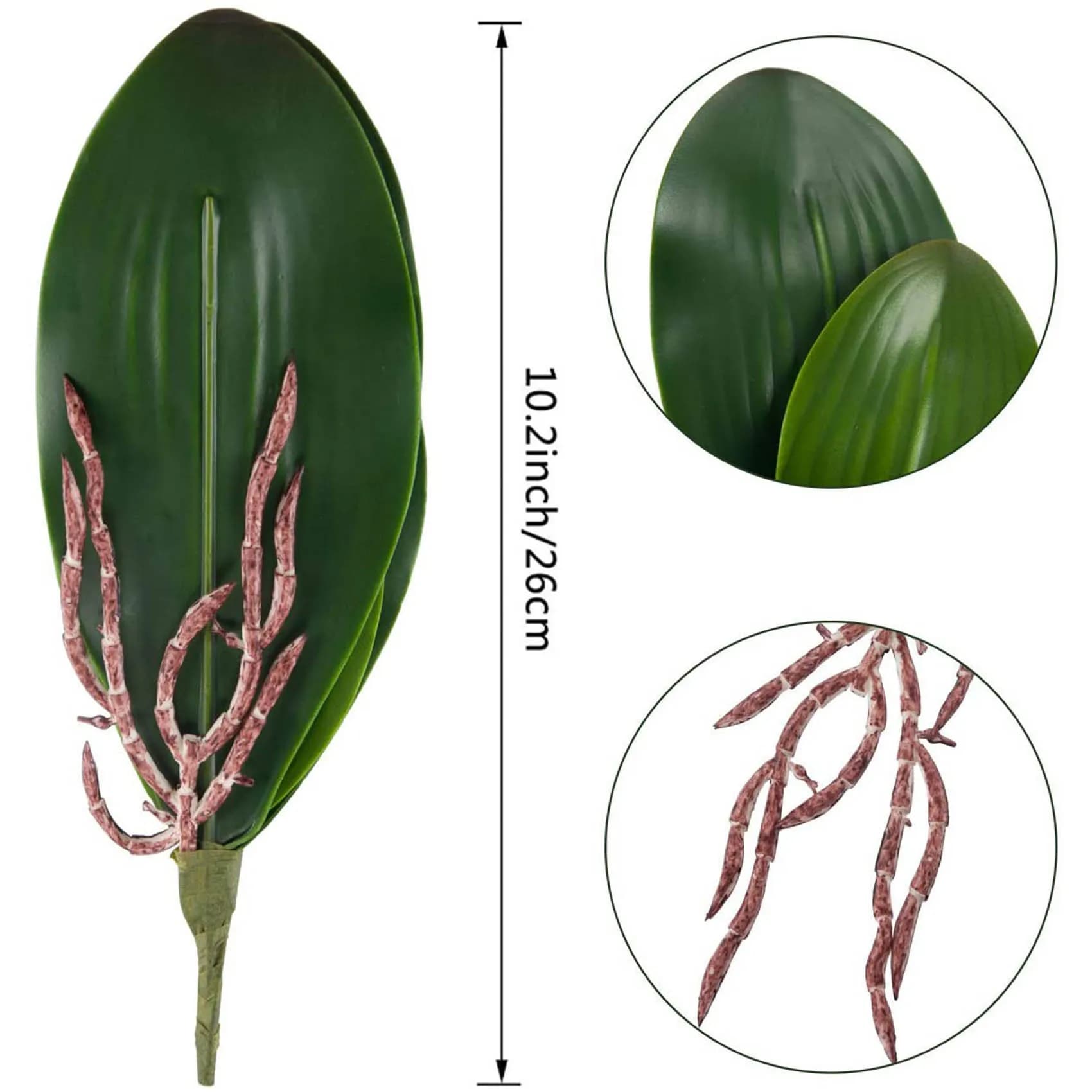 Orchidee Phalaenopsis Artificial leaves Roots with real appearance Latex contact plants Provision of green fake leaves 6 PZ