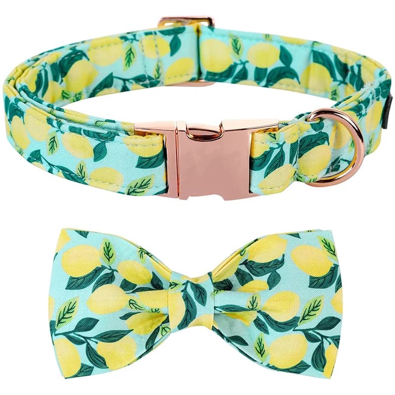 Collare per cani estivo personalizzato con zampe in stile unico con papillon collare per cani verde limone collare per cani per cani di taglia grande e media
