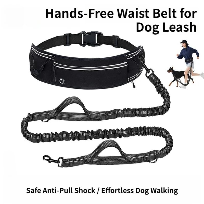 Cintura da Corsa a Mani Libere con Guinzaglio Retrattile per Cani, Anti-Trazione, Ammortizzatore, Borsa Multifunzionale da Vita per Jogging e Passeggiate