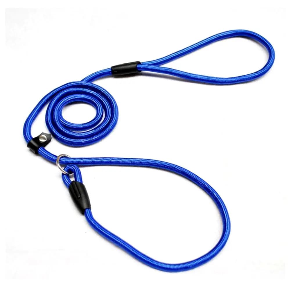 Guinzaglio per Cani in Nylon Regolabile, Collare e Corda di Trazione Blu 06x127cm, Resistente ai Morsi, Corda in Nylon per Cani