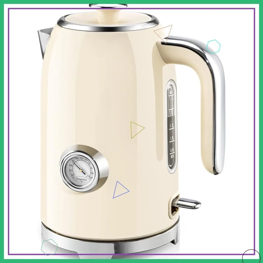 Bollitore Elettrico da 1,7L con Termometro, 1500W Riscaldamento Rapido, Teiera in Acciaio Inox, Senza Fili, Spegnimento Automatico e Protezione Contro l'Ebollizione a Secco