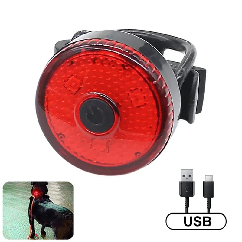 Luci a LED per cani Pettorina per animali Collare Accessori Illuminazione Passeggiata notturna Torcia di sicurezza Cucciolo Luminoso USB ricaricabile Forniture per animali domestici