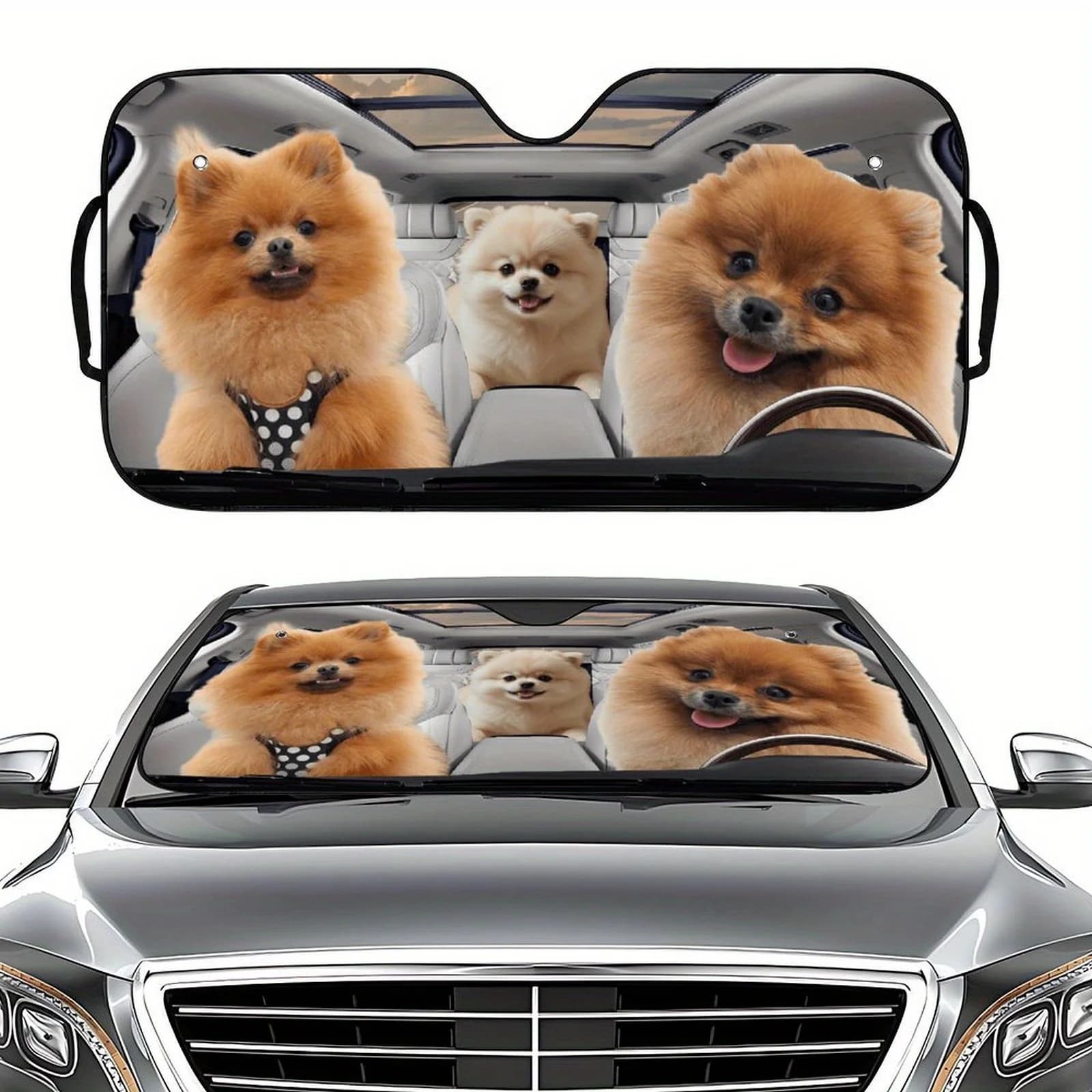 Un singolo parasole a tema animali domestici per il parabrezza anteriore con un simpatico design di Pomerania, adatto per la maggior parte dei tipi di veicoli inclusi