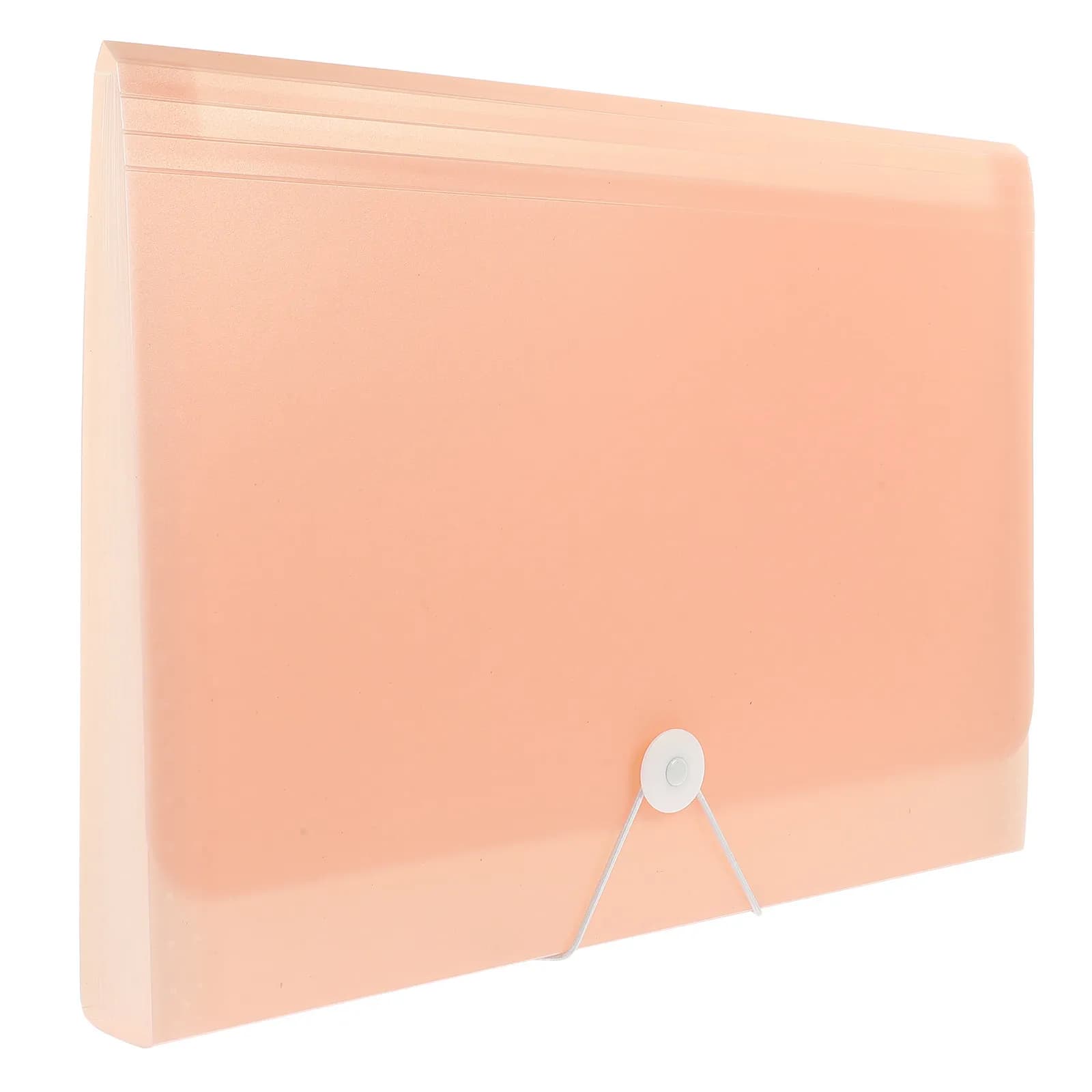 Cartella Portadocumenti Espandibile a Fisarmonica, Contenitore in Plastica Multitasche, Organizer Portatile per Documenti, Borsa per Archiviazione da Ufficio