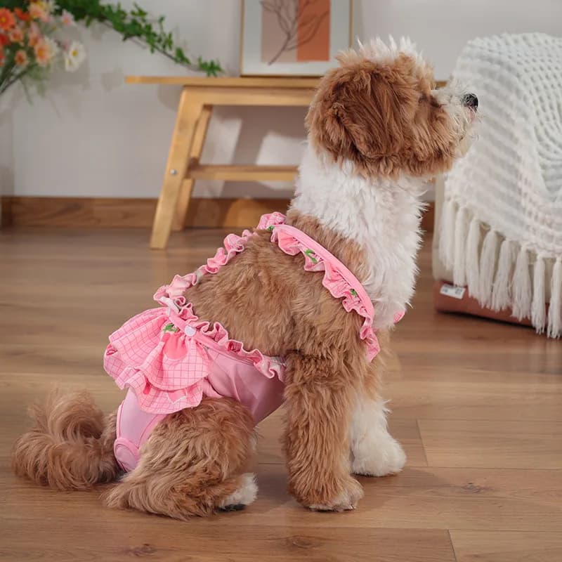 Nuovi pantaloni mestruali per cani da compagnia Pantaloni fisiologici in pizzo con bretelle Pantaloni fisiologici per cani con imbracatura dolce estiva