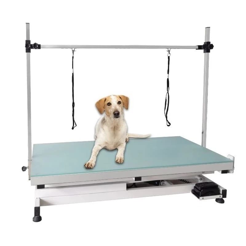 Tavolo da toelettatura per cani, gatti, sollevamento dell'aria idraulico pieghevole in altezza regolabile, depilazione elettrica in acciaio inossidabile a LED illuminata