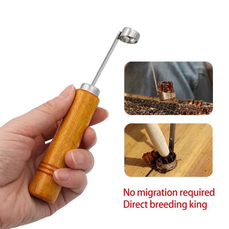 Apiculture Queen Breeding Kit without grafting Pettine Socket for foundation, Queen Frame Cutter Extractor Cutting Tools Beekeeping Equipment