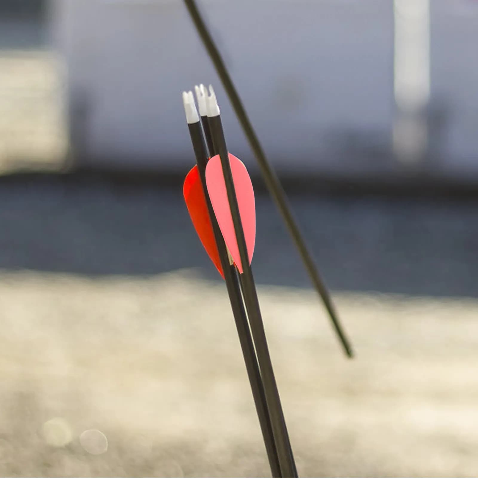20 Pezzi Alette di Ricambio Colorate in Plastica per Frecce, per Aste in Fibra di Vetro, Legno e Resina, per Allenamento e Tiro con l'Arco
