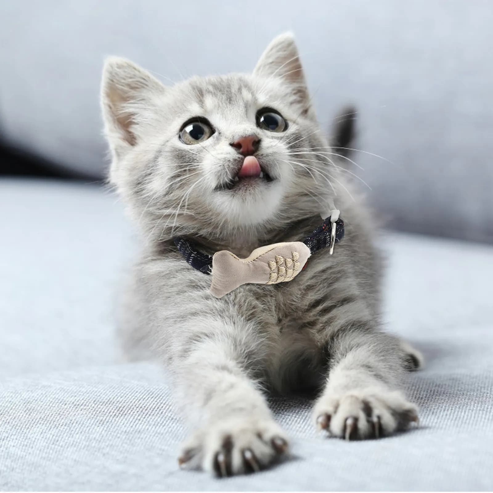 4 Pezzi Collare per Animali Domestici Regolabile e Confortevole con Disegni Cartoon, per Gatti e Cani, Decorazione per Feste di Compleanno, Vacanze e Natale