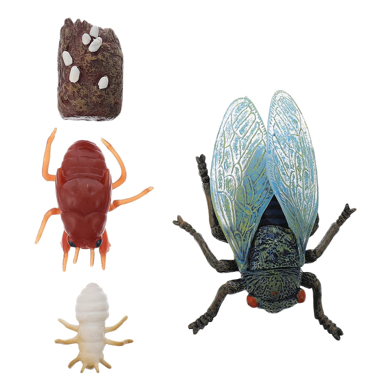 1Set Cicada Growth Cycle Simulation Ornaments Display Collection for Kids Educational Enlightenment Decorative Plastic Set