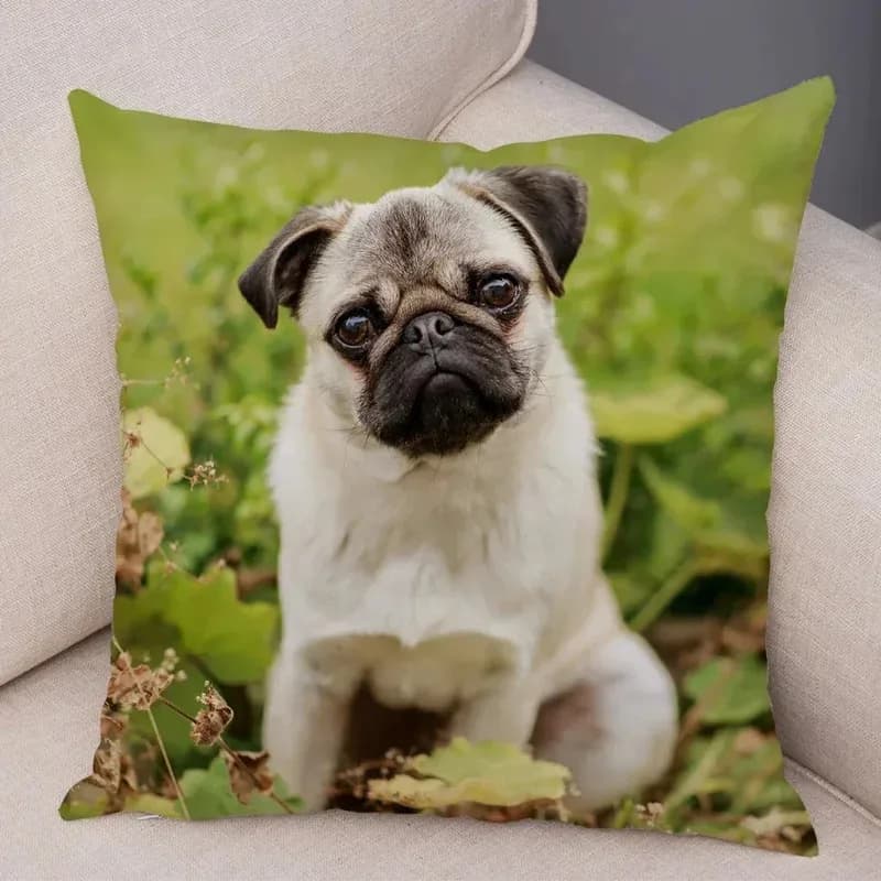VIKAMA Cover for dogs in Nordic style, adorable, with Pug print, per bedroom, living room, sofa, decorative