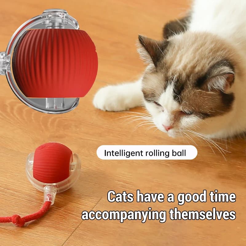 Nuovo Giocattolo Interattivo Intelligente per Gatti, Palla Rotolante Automatica con Coda Finta, Ricaricabile, Giocattolo Elettrico Smart per Cani che Imita il Topo