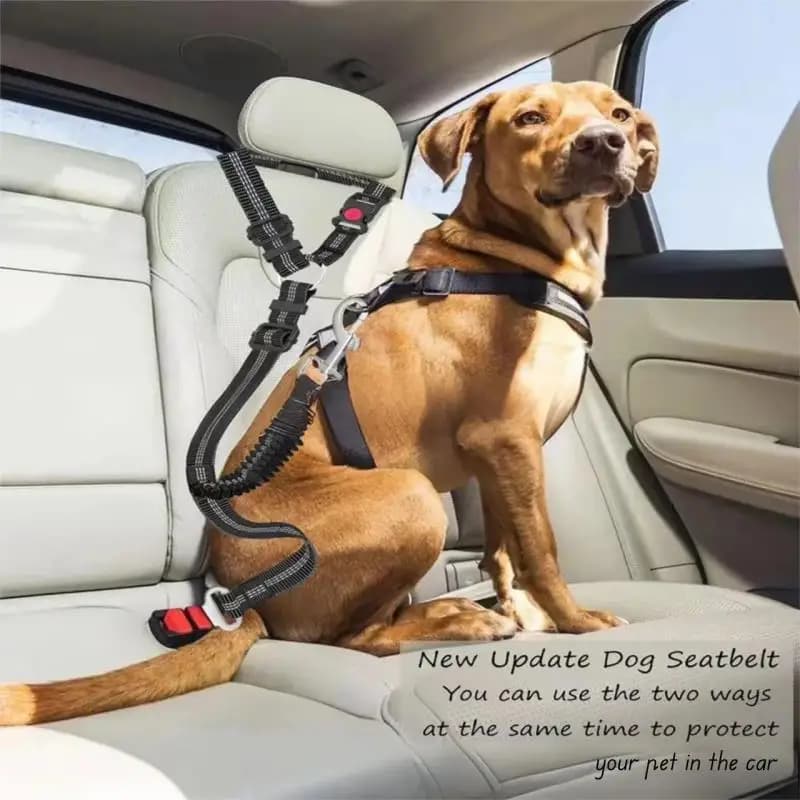 Multi-functional driving for pets Safety belt for pets Adjustable dog harness Reflective cord Anti-pull training strap for large breed