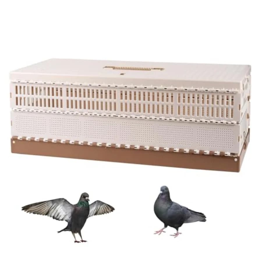 Gabbia Pieghevole in Plastica per Piccioni, Trasportino Portatile XL per Uccelli Domestici con Design Facile da Pulire per Addestramento e Rilascio in Competizione