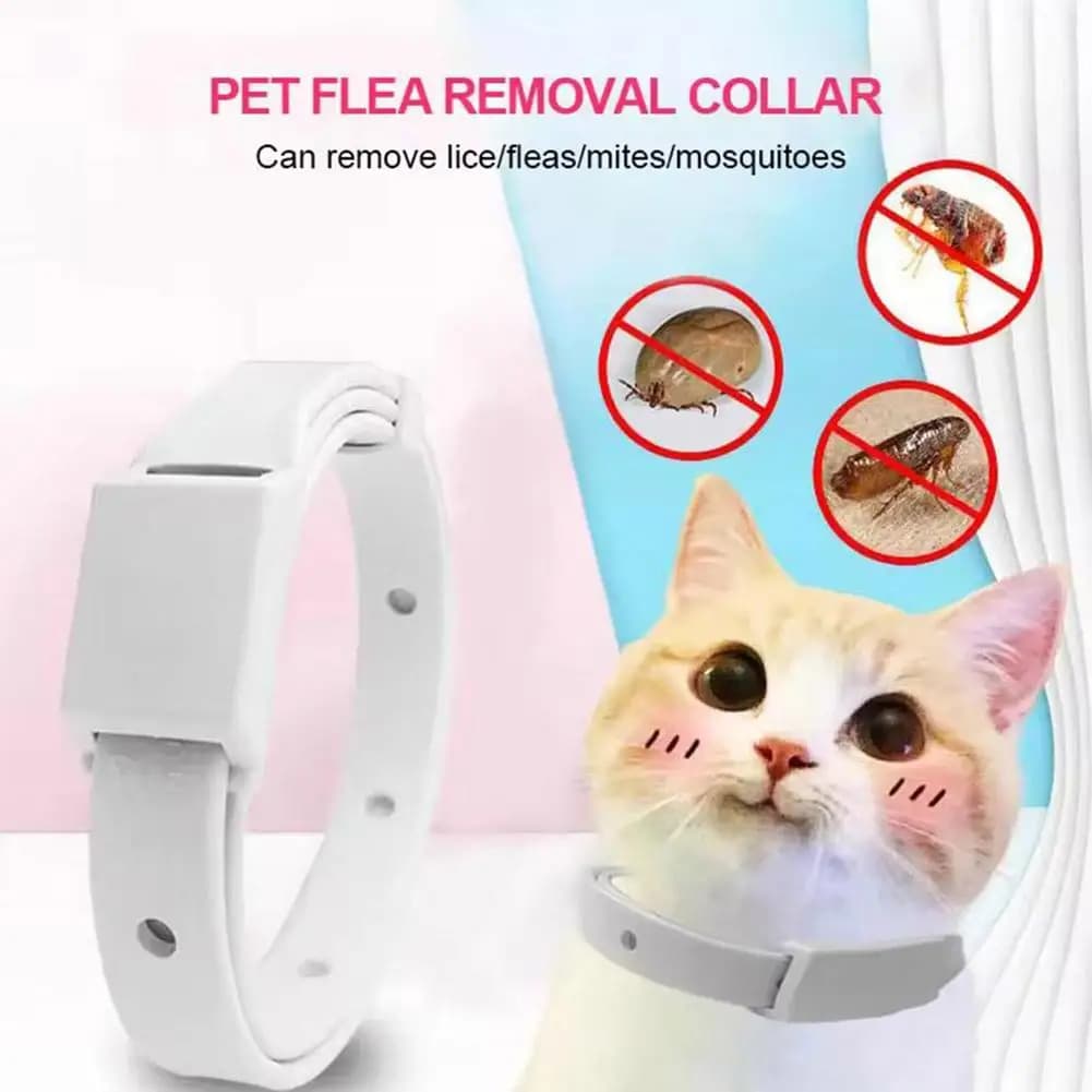 Collare per gatti repellente regolabile Collare per olio essenziale naturale impermeabile sicuro Rilassante per collare ansia adatto per cani gatti