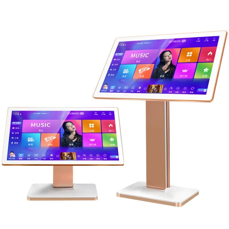 Lettore Karaoke Professionale con Schermo Touch da 19/22 Pollici, Macchina per Karaoke KTV per Sistema Home Theatre