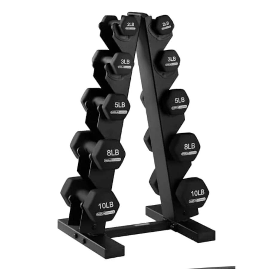 Set di pesi con manubri in neoprene con rack Attrezzatura da palestra per la casa 56 libbre Nero - Manubri per esercizi ponderati portatili per fitness Trai