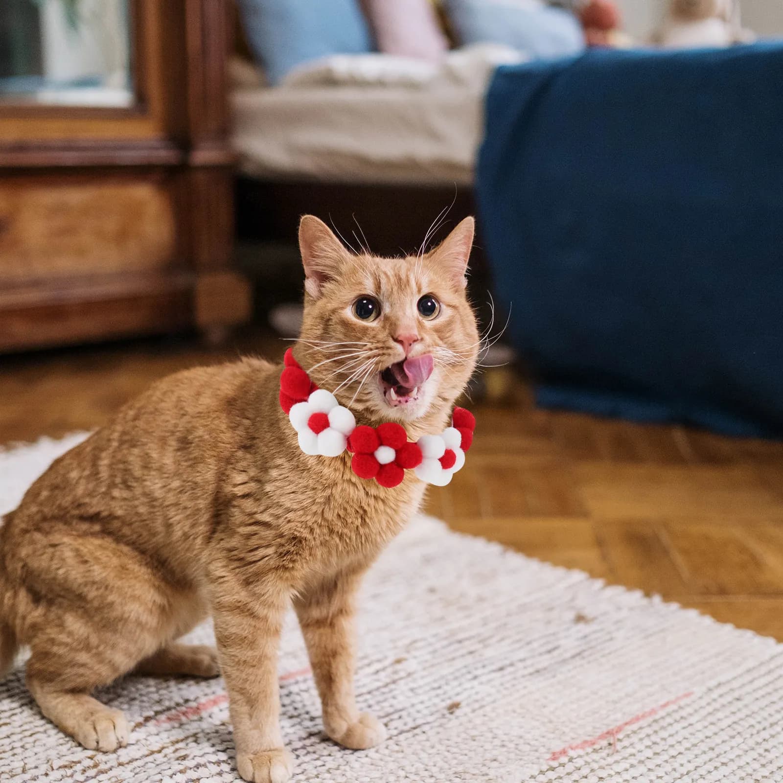 Collare per Animali Domestici in Maglia, Regolabile, Design Floreale, Leggero e Alla Moda, Accessorio per Cani e Gatti