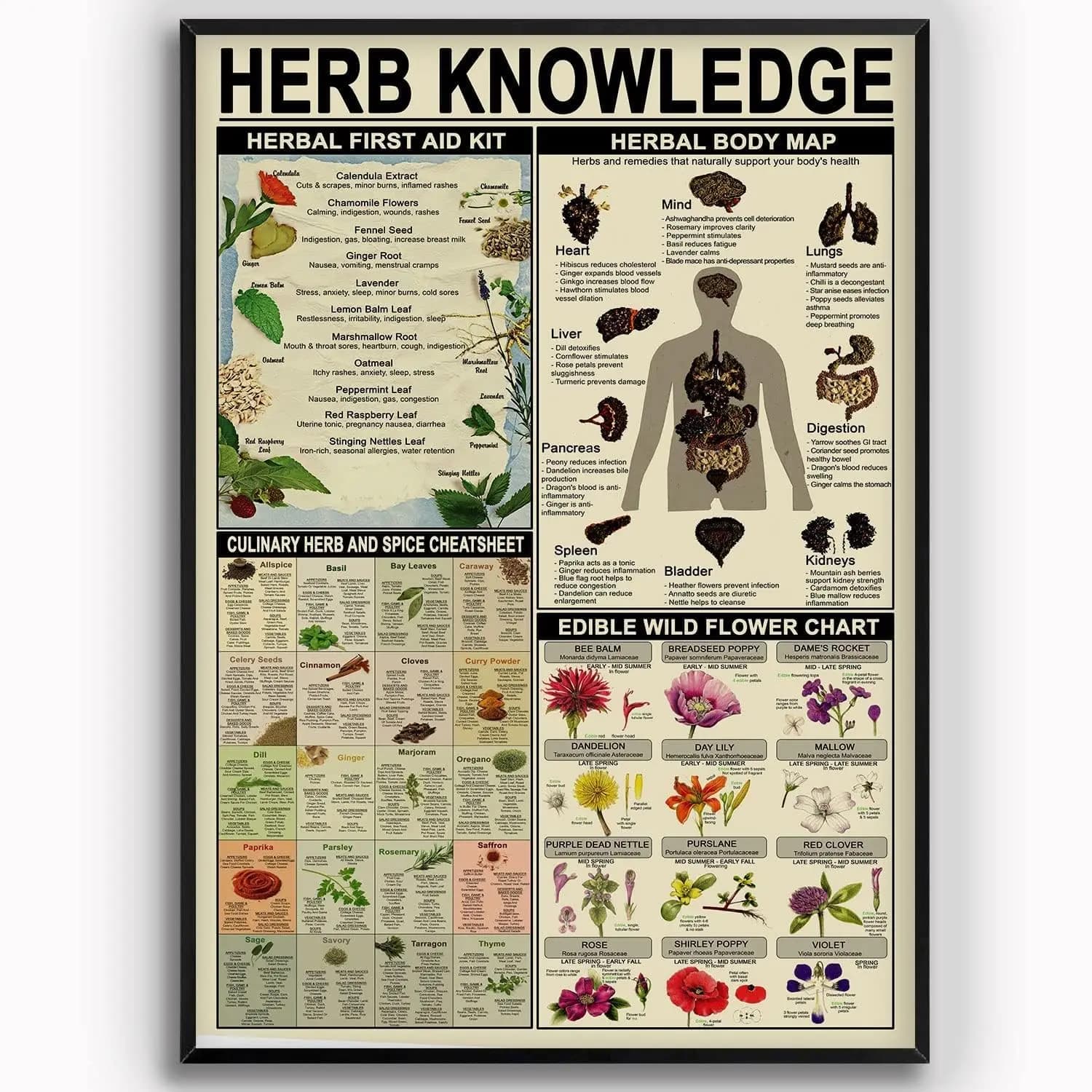 Targhe Metalliche con Conoscenze Erboristiche, Decorazioni Murali, Infografica Kit di Pronto Soccorso Erboristico, Poster in Alluminio, Guida allo Studio del Farmacista, Targa in Latta per la Casa