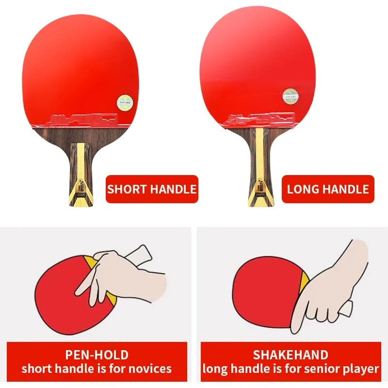 Racchetta da Ping Pong DHS 9002 Professionale
