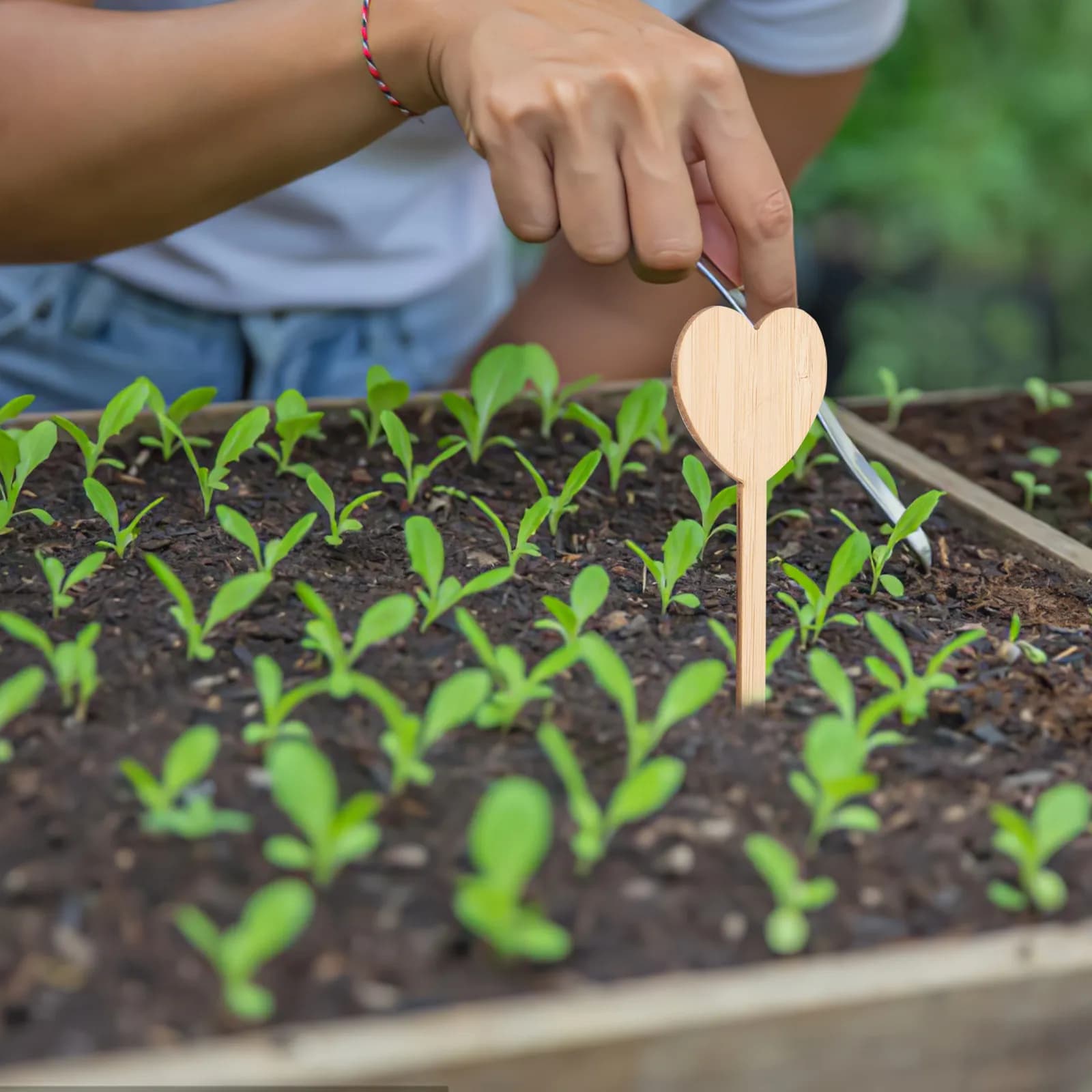 20 Etichette in Legno a Forma di Cuore per Piante, Targhette da Giardino per Piante in Vaso, Identificazione di Piante Grasse e Fiori, Divertenti Decorazioni da Giardino