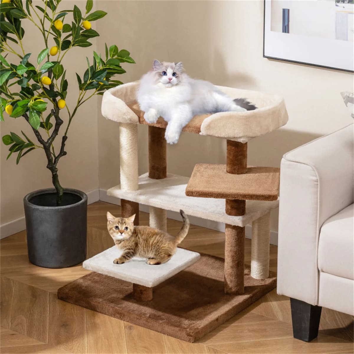 Scala e Tiragraffi 2-in-1 per Gatti - 4 Piattaforme con Poste in Sisal, Grigio