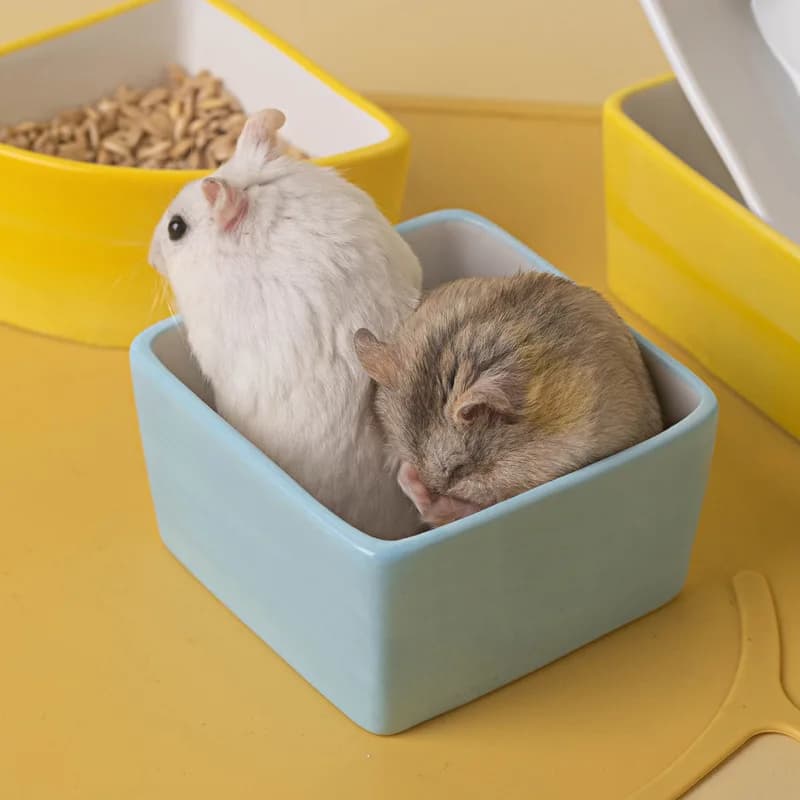 Thickened Anti-spill Ceramic Hamster Bowl Small Pet Feeding Dish Golden Bear Parrot Guinea Pig Food Water Feeder Dog Cat Bowl