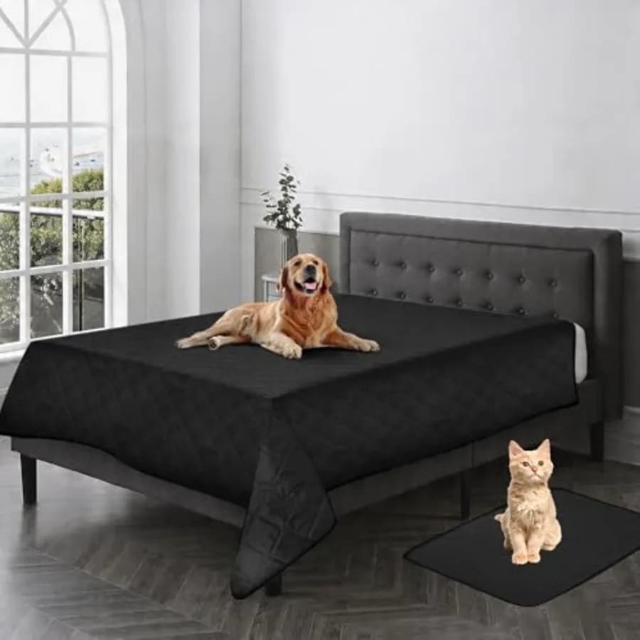 Set di 2 Copridivano/Copripet per Cani e Tappetino per Animali Domestici, Impermeabile al 100% con Fondo Antiscivolo a 3 Strati