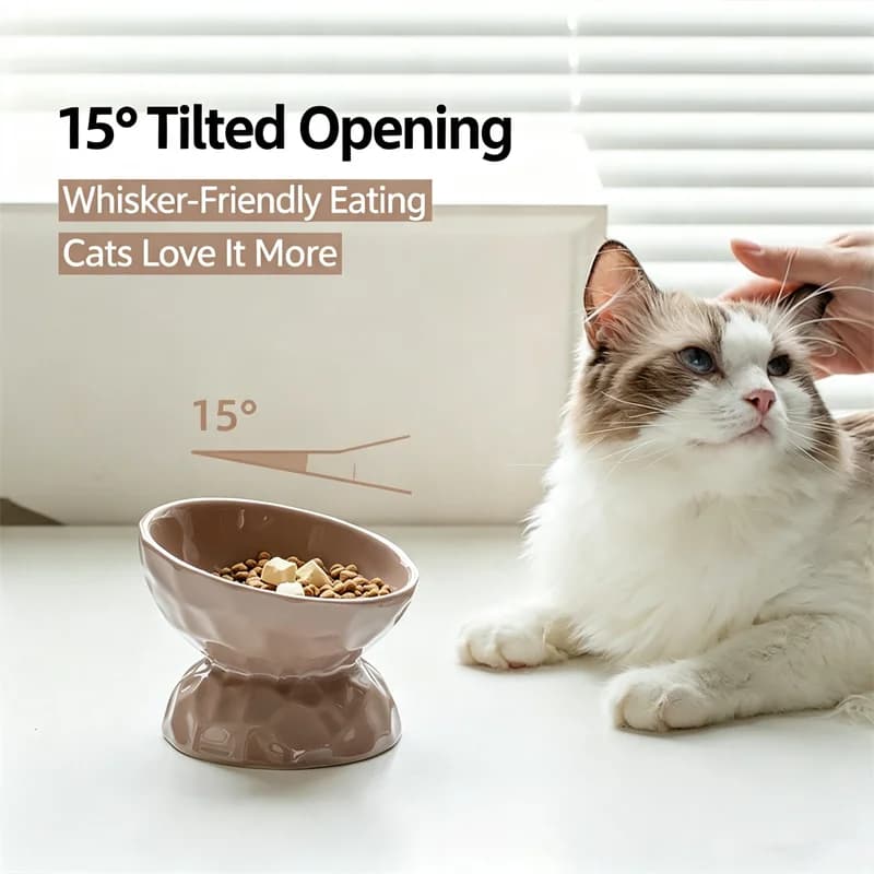 Fashion Elevated Ceramic Cat Bowl 15° Tilted Pet Feeder Anti Black Chin Neck Protection Water Food Bowl for Cats Small Dogs