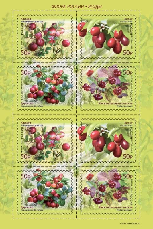 Russia, 2022, Berry, Real Original Post Stamp, MNH (2 Sets) 2884