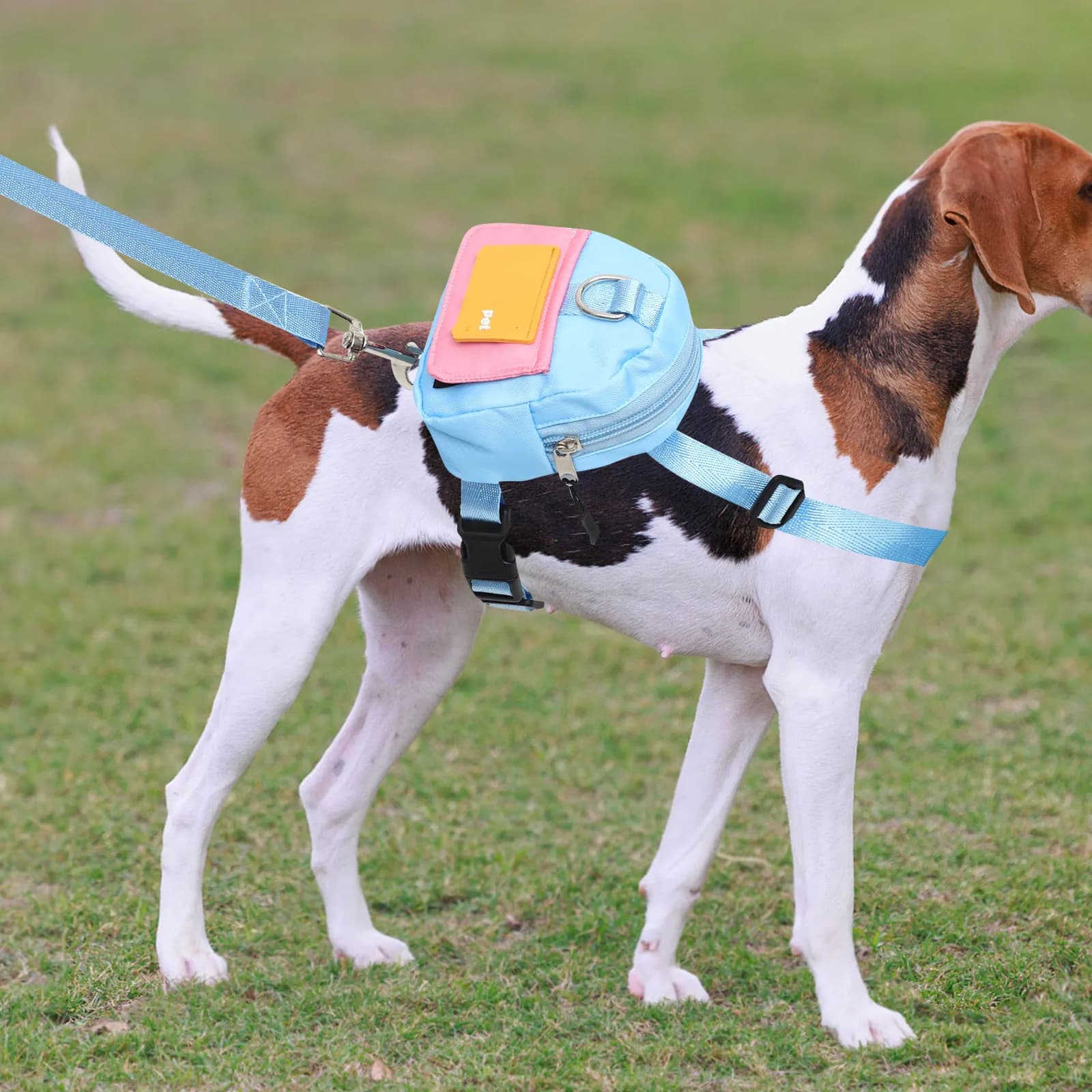 Set Zaino per Cani con Imbracatura, Borsa da Trasporto per Cuccioli, Zaino Regolabile per Viaggi all'Aperto