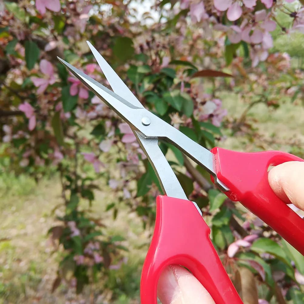 Garden Scissors for Flowers, Fruits, Coppers and Plants in Vase, Use for Florists and Fruits, Ergonomic Handle, Portals and Reusables