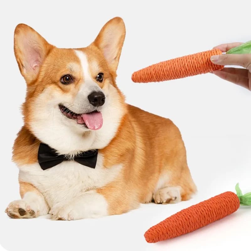Giocattoli per cani carote carine giocattoli per cani pulizia dei denti auto-hi giocattolo interattivo per cani giocattolo per gattini macinazione bastoncini per gatti in Sisal forniture per animali domestici