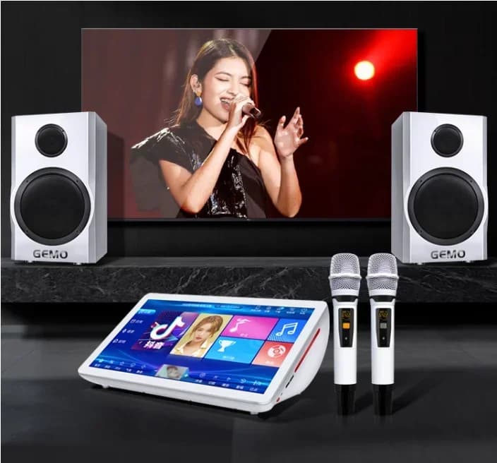 2026 Professionale InAndOn Macchina Karaoke Set Microfono Senza Fili 15.6 "KTV 2TB Sistema di Macchina Karaoke Portatile Altoparlante Mini Kar