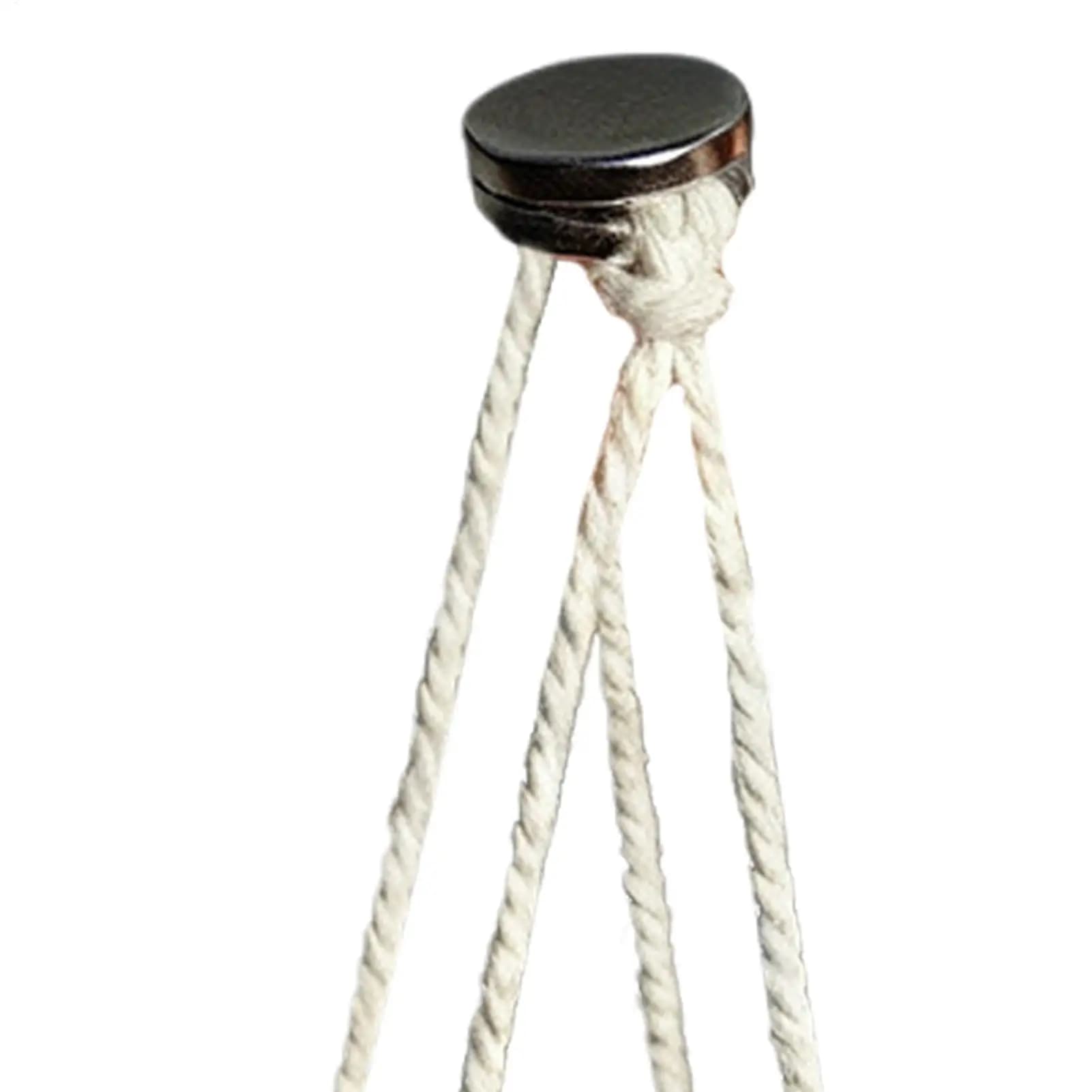 Spider Fence Accessories Corda Hanging Climbing Agno Jumping Terrarium Decoration for Geckos Tree Farming