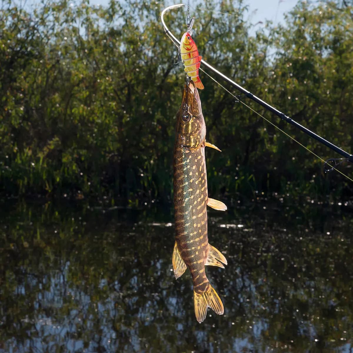 1 Pezzo Esca Artificiale Realistica a Forma di Pesce Luya 10 cm, Multi-Articolata, con Nodi, per la Pesca di Carpe, Persici, Carpe Argentate e Pesci Oceanici