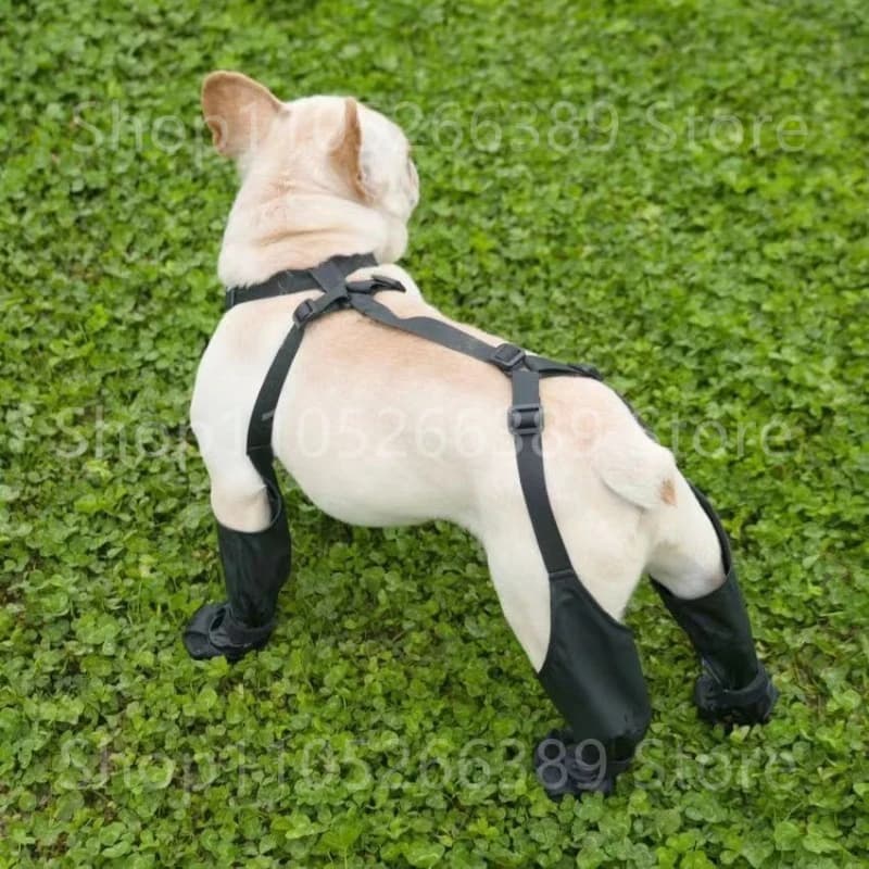Stivali Impermeabili per Cani, Scarpe Antiscivolo, Protezione Zampe, Calzini da Pioggia per Passeggiate, Corsa ed Escursionismo