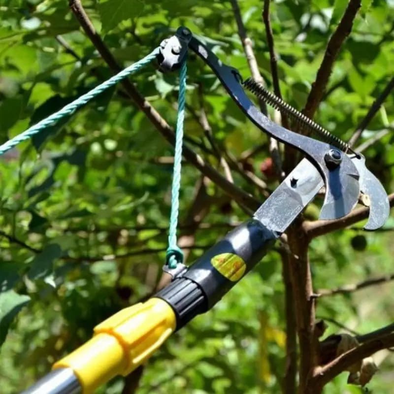 Forbici da Potatura Nere con Puleggia per Rami Alti, Cesoie Metalliche, Strumento per la Raccolta della Frutta, Attrezzi Manuali per Giardino e Fattoria