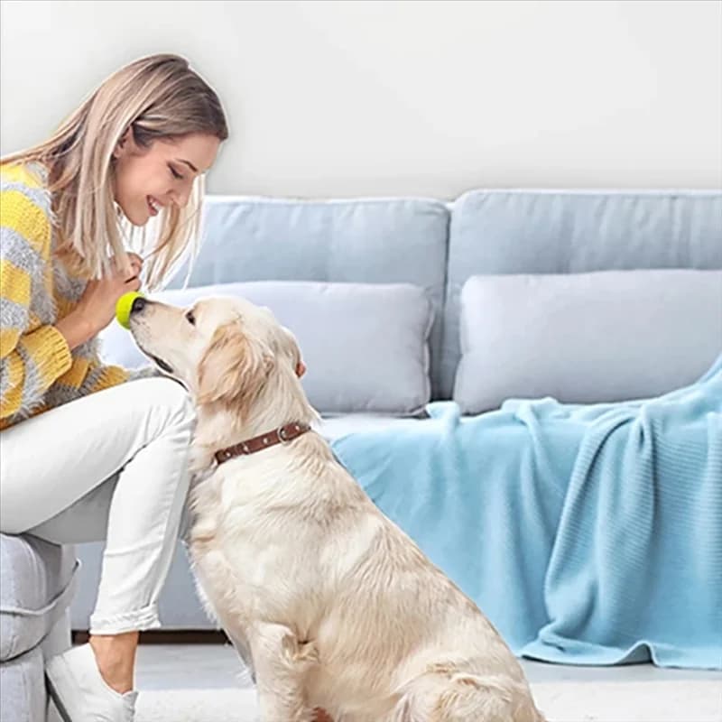 AA86 Divertente macchina interattiva Divertimento interattivo Catapulta Lancio ricaricabile Cane Palla da tennis Lanciatore Cani Chase Giocattoli automatici