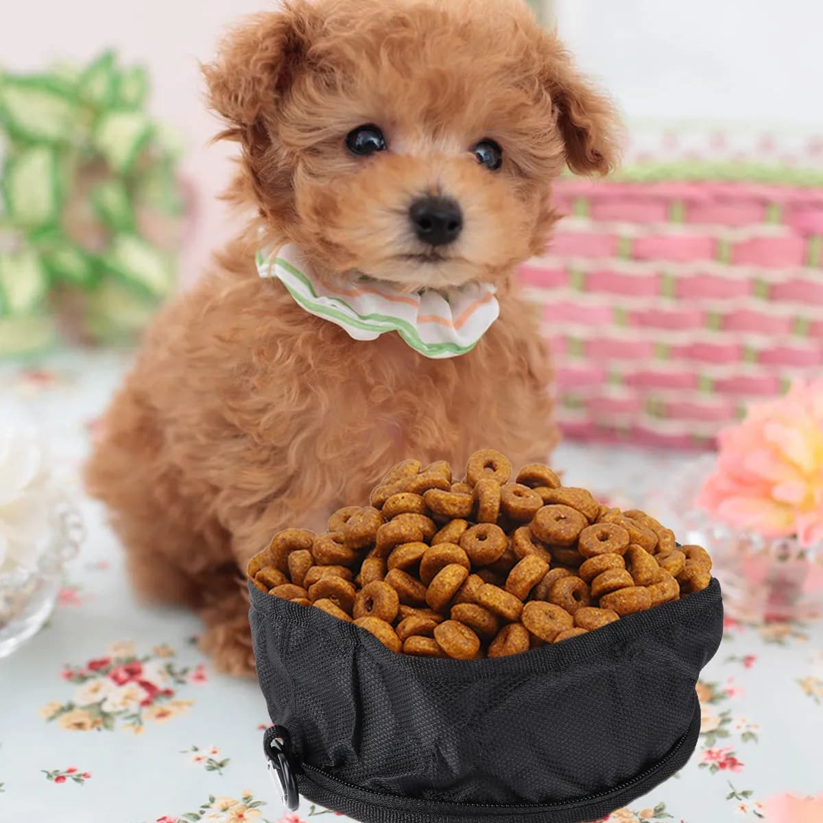 Ciotola Pieghevole Nera Impermeabile per Animali Domestici in Poliestere, Compatta da Viaggio, per Cibo e Acqua, Portatile per Escursioni, per Cani e Gatti